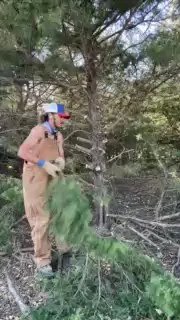 Offline BigDjunior8 on Cam4