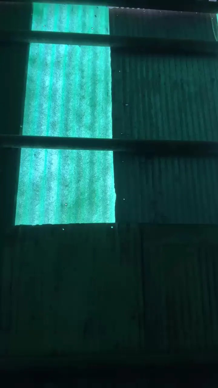 BigDjunior8 — Freechat on Cam4