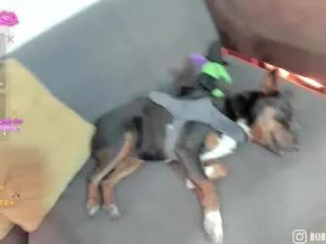 Freechat burbuja_cosmic on Chaturbate