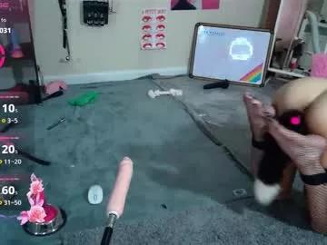 Freechat droolybambi on Chaturbate