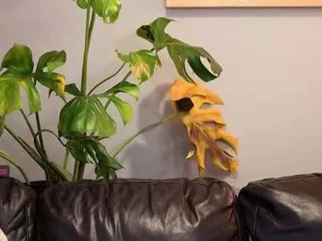 Freechat prosbate on Chaturbate