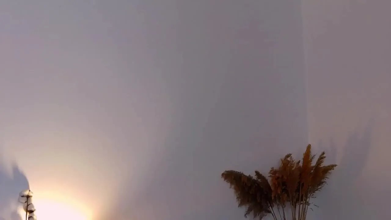 Offline JosephineJ on Streamray