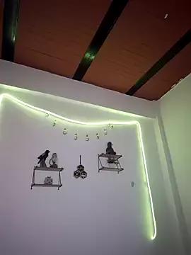 Freechat 77Neferkitty77 on StripChat