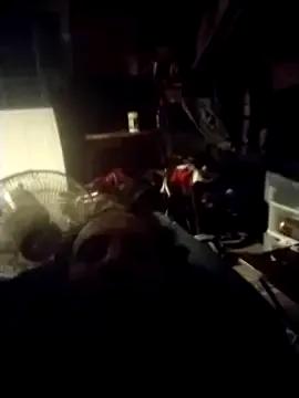 Freechat AceticPinscher on StripChat