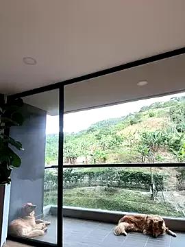 Freechat Helenbronwx on StripChat