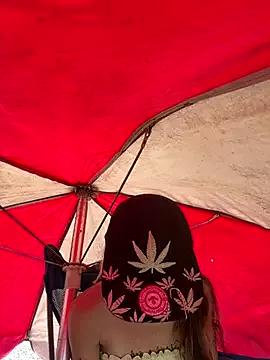 Freechat ittybittymeryssa on StripChat