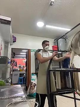 Leonardmoppet — Cum show