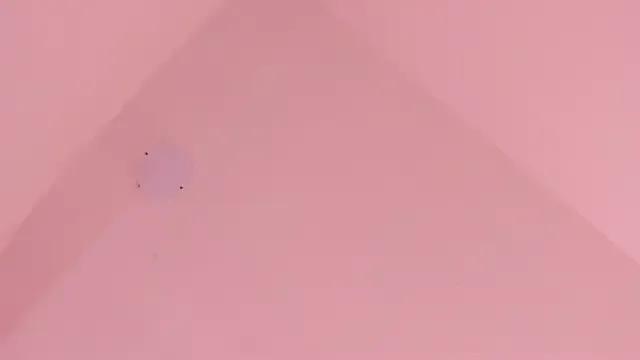 LoveQueen2 on StripChat