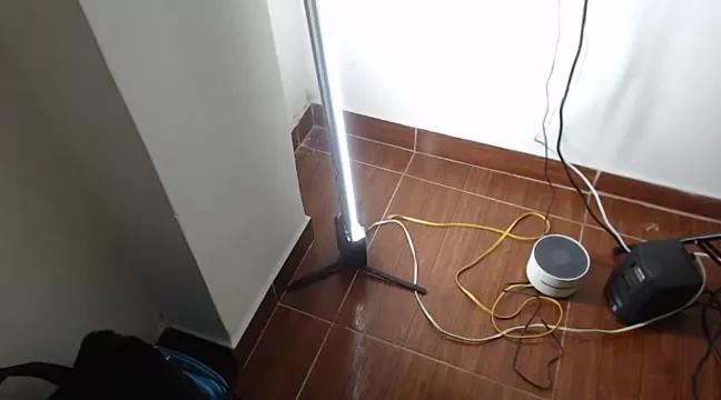 Freechat sophia_frank on StripChat