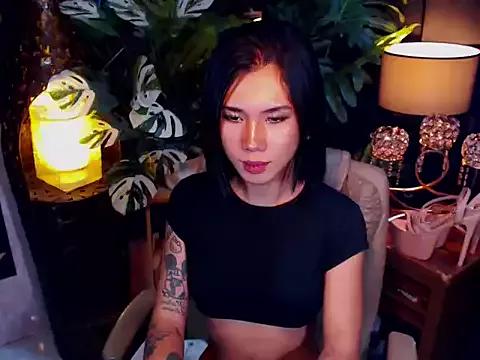 Freechat TRANSPORNIDOL on StripChat