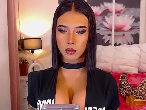 Freechat TRANSPORNIDOL on StripChat