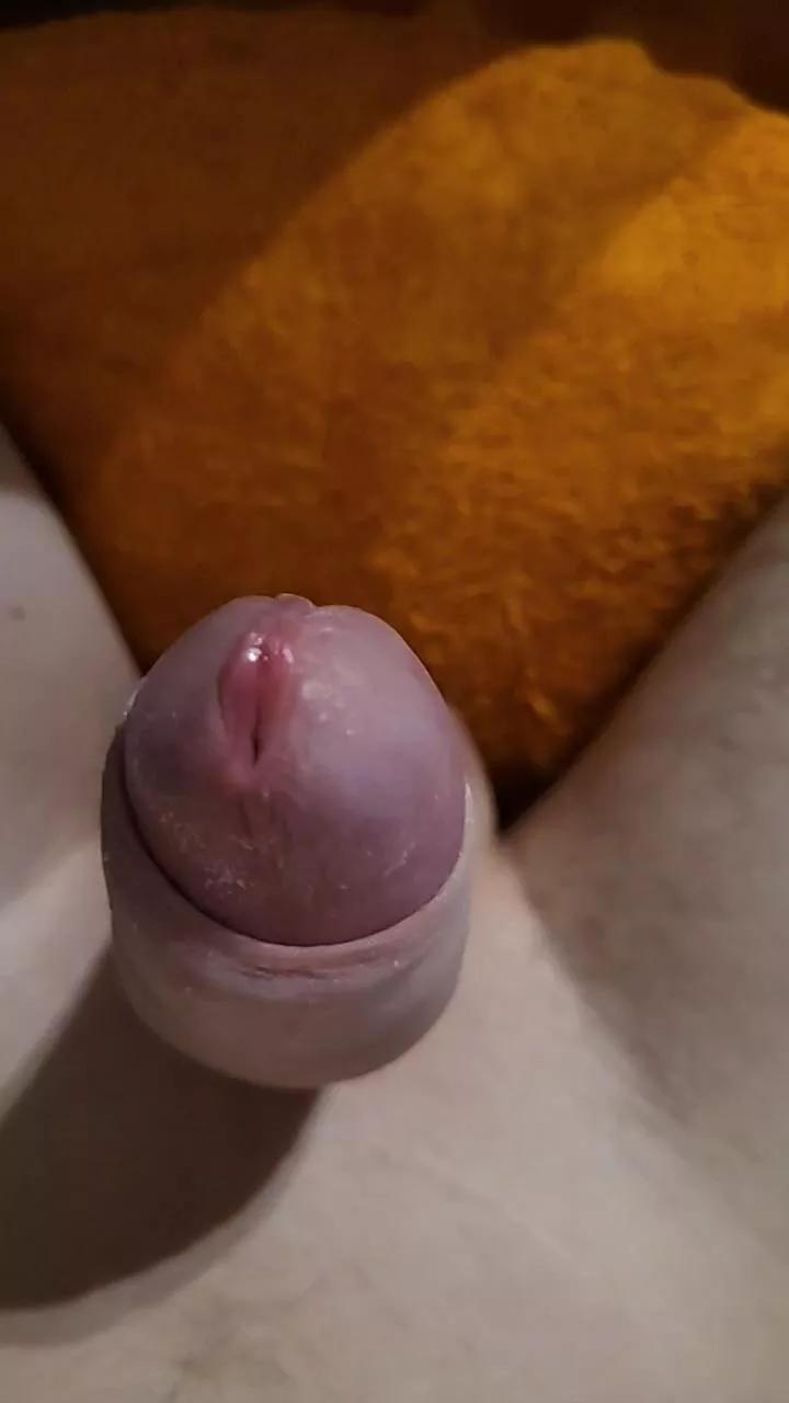 anonymus194 from Cam4