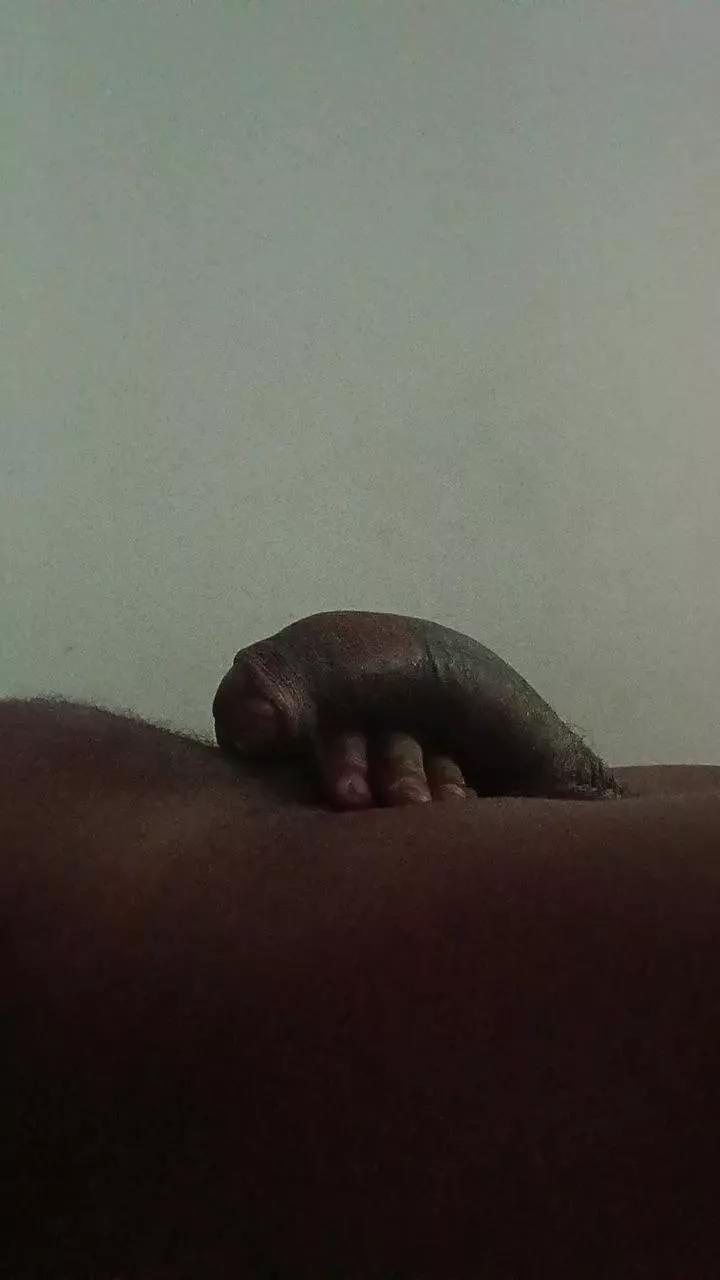 lapada89 from Cam4