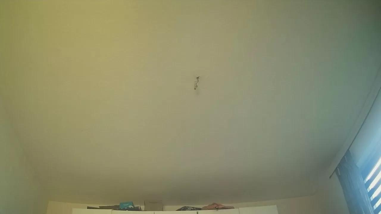 paarnsgeil from Cam4