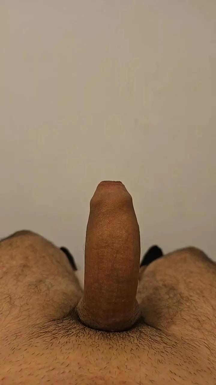 Pololo2025 from Cam4