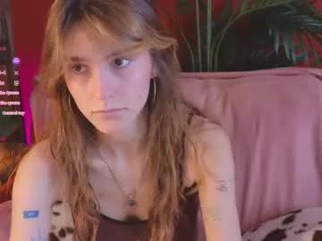 soft_animal from Chaturbate is Freechat