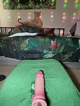 fatfabulous1981 from StripChat is Freechat